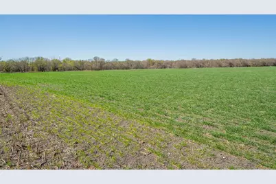 2396-C County Road 112, Buckholts, TX 76518 - Photo 9