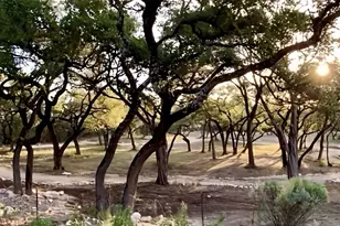 17416 Sleepy Hollow Dr, Lago Vista, TX 78645 - Photo 31