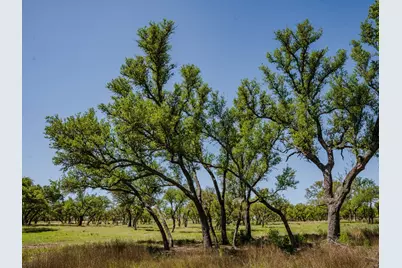000 Tall Oak Ranch, Johnson City, TX 78636 - Photo 9