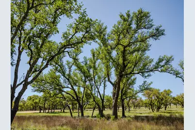 000 Little Creek Ranch, Johnson City, TX 78636 - Photo 3