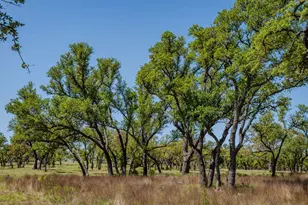 000 Tall Oak Ranch, Johnson City, TX 78636 - Photo 1