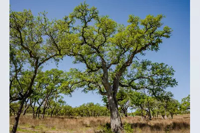 000 Little Creek Ranch, Johnson City, TX 78636 - Photo 7