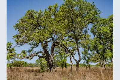 000 Tall Oak Ranch, Johnson City, TX 78636 - Photo 13