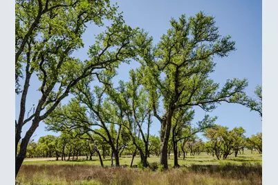 000 Tall Oak Ranch, Johnson City, TX 78636 - Photo 3