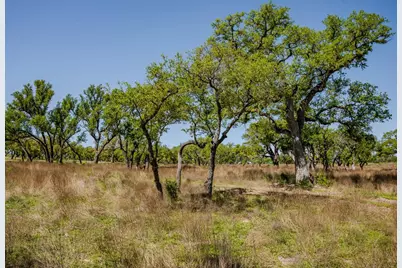 000 Tall Oak Ranch, Johnson City, TX 78636 - Photo 11