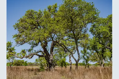 000 Little Creek Ranch, Johnson City, TX 78636 - Photo 13