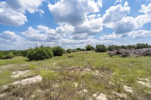 584 Saddle Ridge Dr, Bertram, TX 78605 - Photo 3