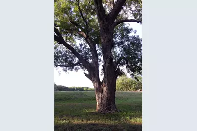 900 Old Lytton Springs Road, Lockhart, TX 78644 - Photo 23