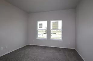 20005 Hirono Dr, Manor, TX 78653 - Photo 19