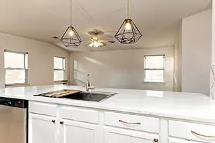 509 Paso Fino Trail, Cedar Park, TX 78613 - Photo 35