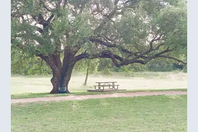 509 Paso Fino Trail, Cedar Park, TX 78613 - Photo 35