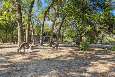 316 Holly Drive, Caldwell, TX 77836 - Photo 5