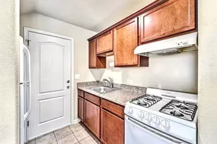 338 Trestle Tree, San Marcos, TX 78666 - Photo 23