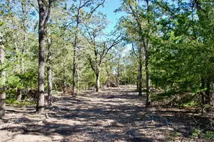 1727 Davis Rd, Muldoon, TX 78949 - Photo 29