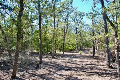 1727 Davis Road, Muldoon, TX 78949 - Photo 31