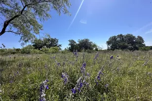 Lot 49 Serenity Dr, Bertram, TX 78605 - Photo 1