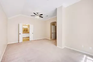 30103 Wingfoot Cove, Georgetown, TX 78628 - Photo 31