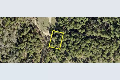 Tbd Pine Lodge Drive, Bastrop, TX 78602 - Photo 3