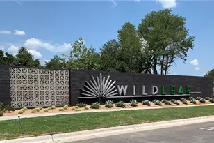 224 Century Plant Rd, Leander, TX 78641 - Photo 11