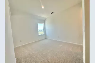 311 Young Street, Buda, TX 78610 - Photo 9
