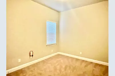 21406 Greylag Drive, Pflugerville, TX 78660 - Photo 15