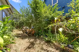 902 Calle Limon Rd, Austin, TX 78702 - Photo 21