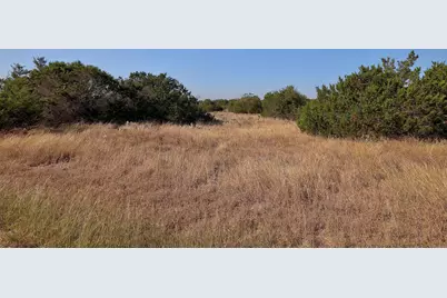 123 Appaloosa Cove, Jarrell, TX 76537 - Photo 11
