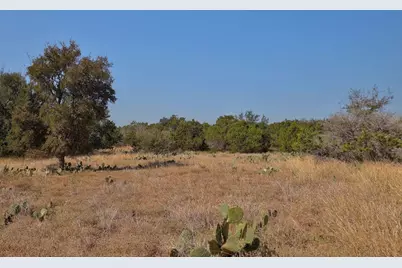 123 Appaloosa Cove, Jarrell, TX 76537 - Photo 9