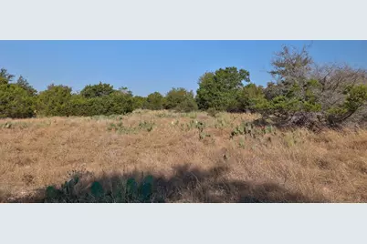 123 Appaloosa Cove, Jarrell, TX 76537 - Photo 7