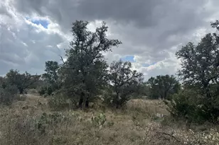 Lot 34 Eagle Feather, Kingsland, TX 78639 - Photo 13