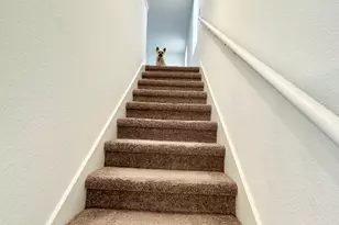 142 Martha Ln, Kyle, TX 78640 - Photo 9