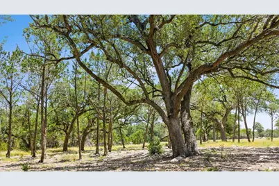 Tract 5 Cypress Cove Road, Spring Branch, TX 78070 - Photo 5
