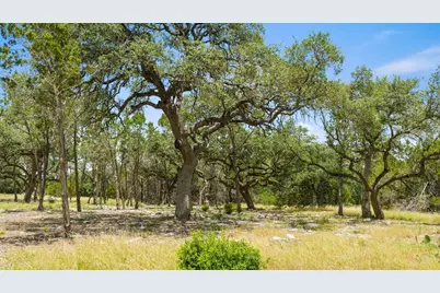 Tract 5 Cypress Cove Road, Spring Branch, TX 78070 - Photo 11