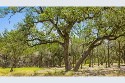 Tract 5 Cypress Cove Road, Spring Branch, TX 78070 - Photo 15