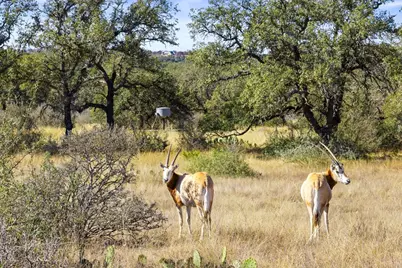 1292 Upper Turtle Creek Road, Kerrville, TX 78028 - Photo 39