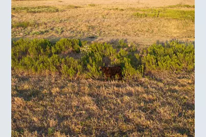 425 Seawillow Road, Lockhart, TX 78644 - Photo 19