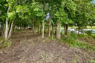 4021 E Fm 243, Bertram, TX 78605 - Photo 5