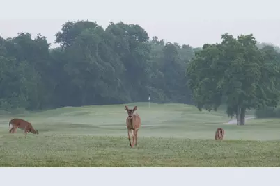 1101 Grove Boulevard #304, Austin, TX 78741 - Photo 39