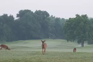 1101 Grove Blvd, Austin, TX 78741 - Photo 39