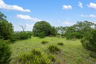 155 SW Crosswater Ln, Dripping Springs, TX 78620 - Photo 3