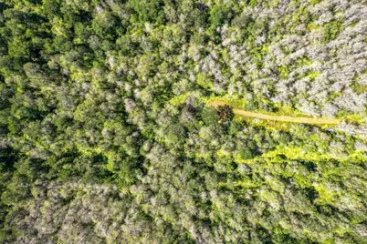 201 Fawn Ridge Road, Cedar Creek, TX 78612 - Photo 17