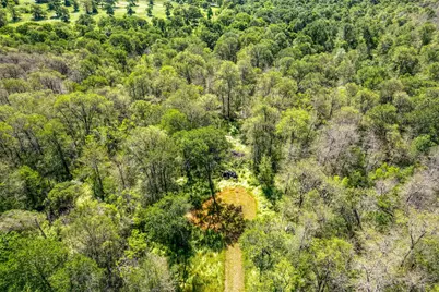 201 Fawn Ridge Road, Cedar Creek, TX 78612 - Photo 15