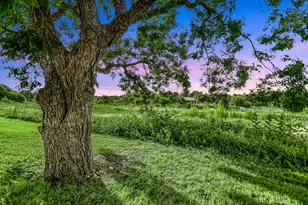 14100 Avery Ranch Blvd, Austin, TX 78717 - Photo 23