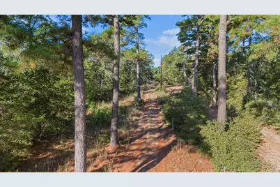 Tbd Copeland Hill Road #3, Smithville, TX 78957 - Photo 3