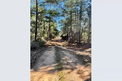 Tbd Copeland Hill Road #3, Smithville, TX 78957 - Photo 5