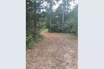 Tbd Copeland Hill Road #3, Smithville, TX 78957 - Photo 7