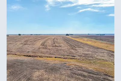 52.27 Acres County Road 301, Granger, TX 76530 - Photo 11