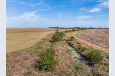 52.27 Acres County Road 301, Granger, TX 76530 - Photo 3