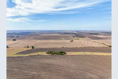 52.27 Acres County Road 301, Granger, TX 76530 - Photo 31