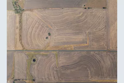 52.27 Acres County Road 301, Granger, TX 76530 - Photo 25